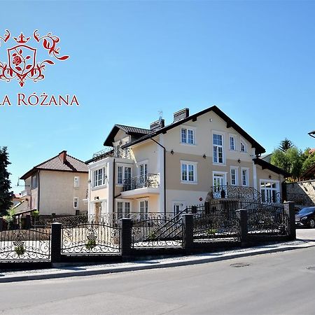 Willa Rozana - Apartamenty I Pokoje Goscinne 산도미에르즈 외부 사진